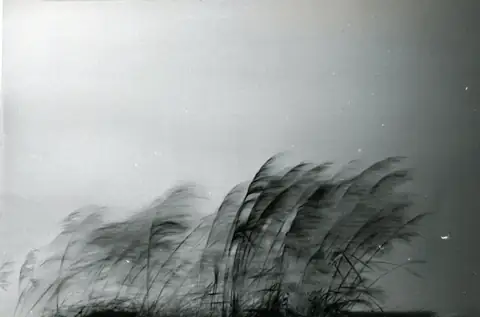 〈風-2〉