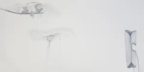 〈無題〉