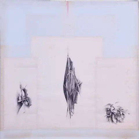 〈1981複媒Ⅱ〉