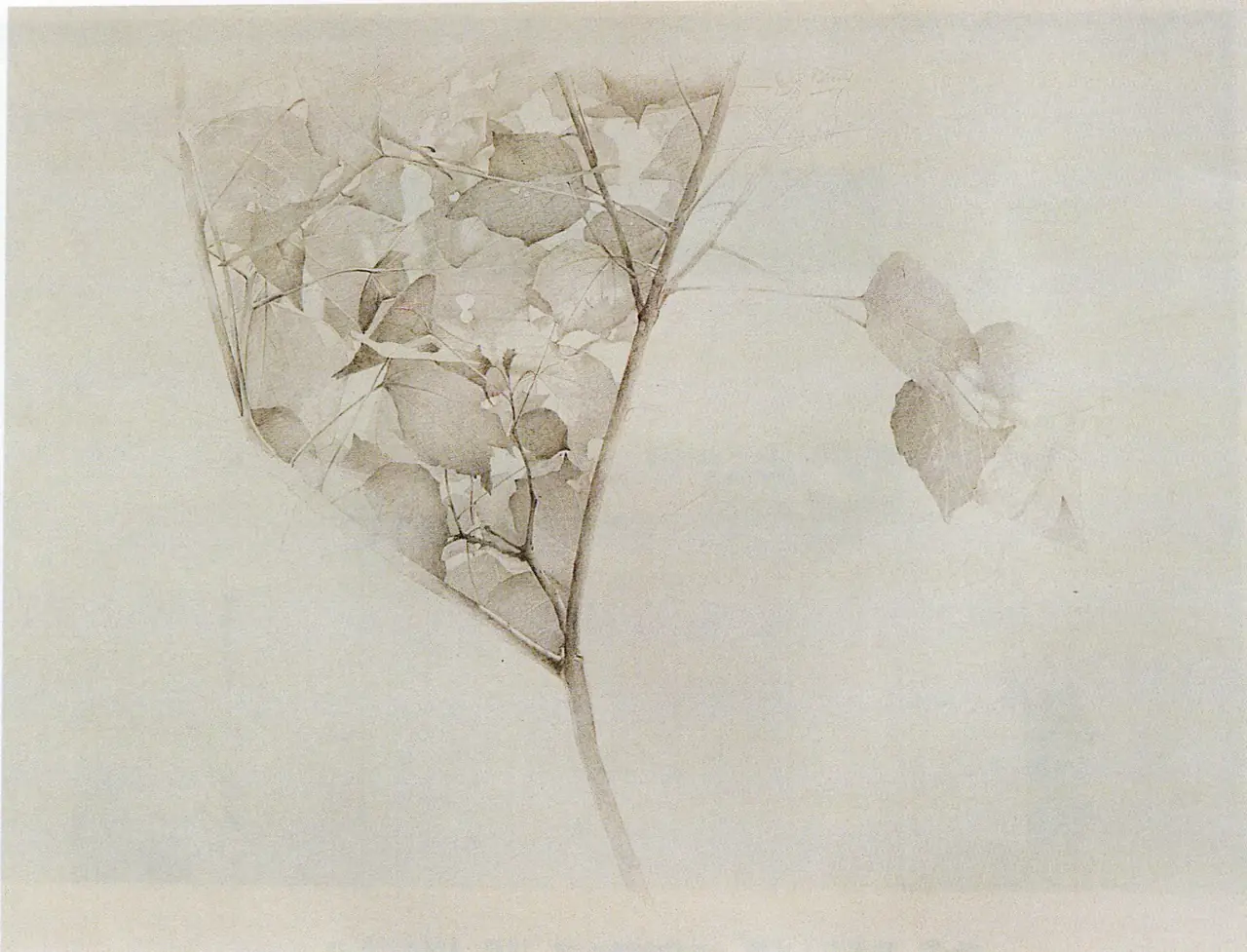陳世明作品〈95-02〉