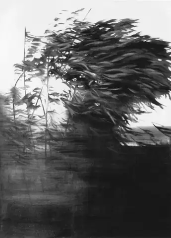 〈風-1〉
